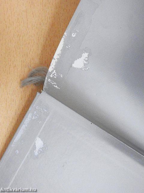 A szerelem ajándéka