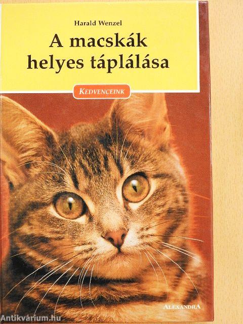 A macskák helyes táplálása