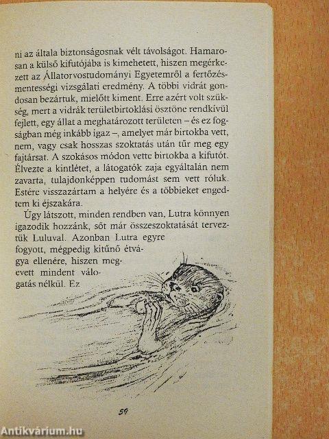 Vidrás történetek