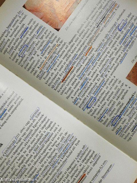 A szemészet alapvonalai 