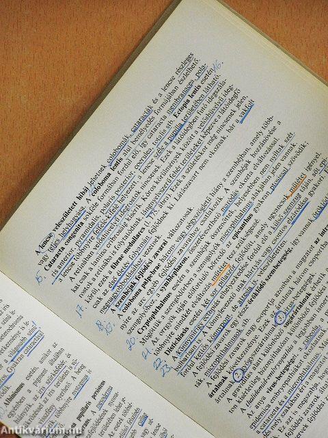 A szemészet alapvonalai 