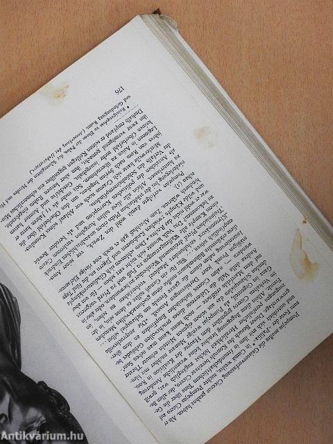 Cicero und seine Zeit