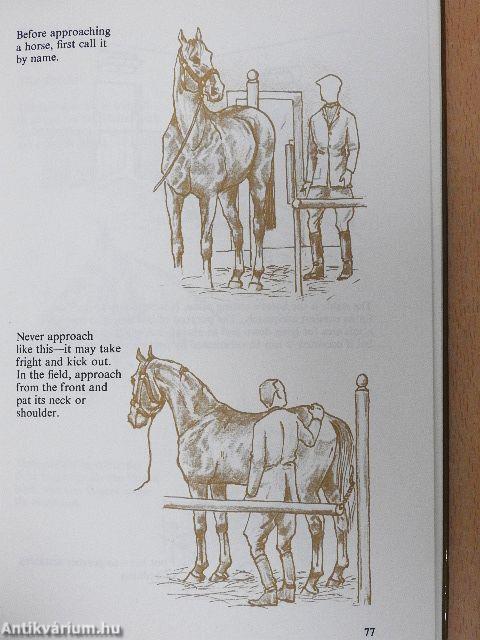 The Horse and Horsemanship