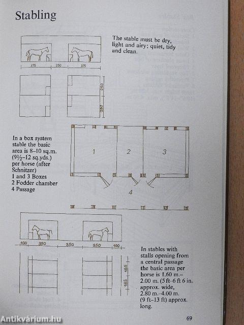 The Horse and Horsemanship