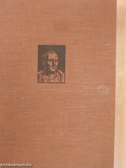 Cicero und seine Zeit