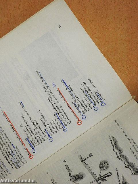 Gyakorlati bőr- és nemigyógyászat