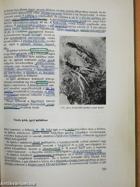 Az igazságügyi orvostan alapjai