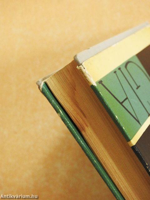 Gyermekpszichológia