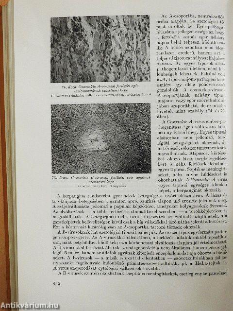 Orvosi mikrobiológia-immunitástan-parazitológia