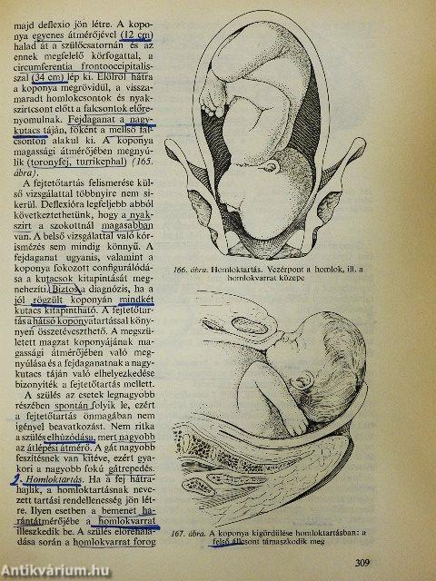 A szülészet tankönyve