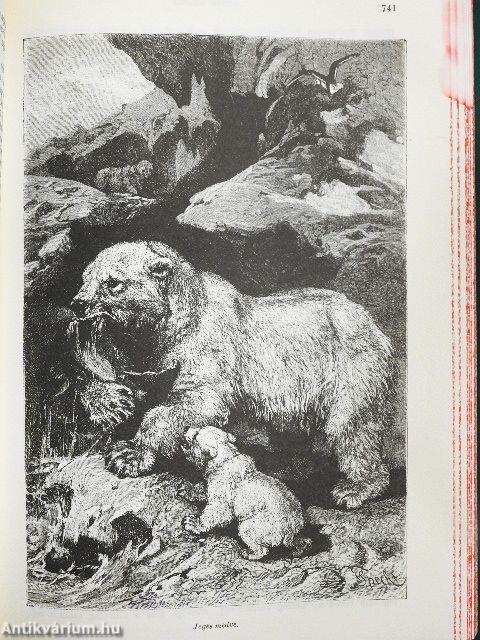 Brehm - Az állatok világa