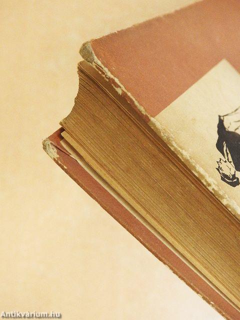 A tüskebokor kivirágzik