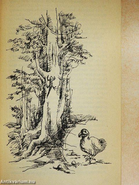 Aranydenevérek, rózsaszín galambok