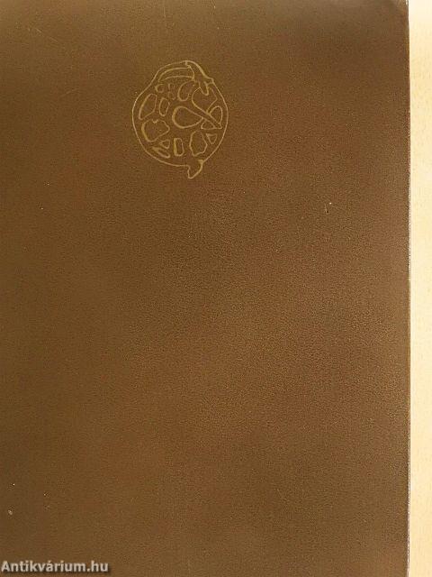 Séták a római Magyarországon