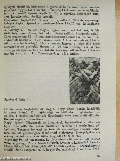 Házikertek zöldségfajtái