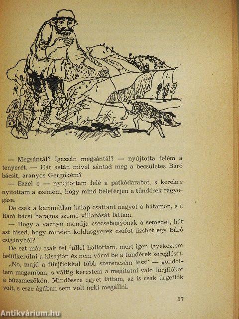 Kincskereső kisködmön