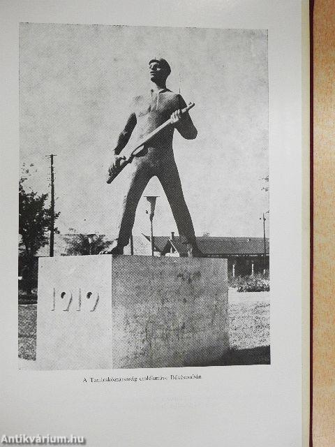 A Tanácsköztársaság Békés megyében 1919