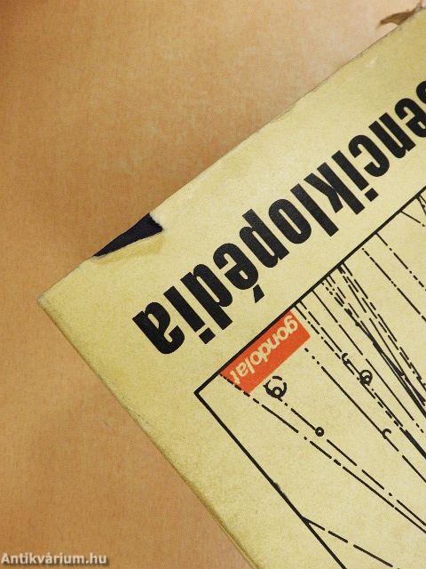 Modern fizikai kisenciklopédia