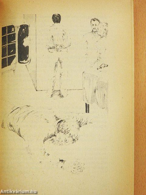 Hód és a megsemmisült nyom