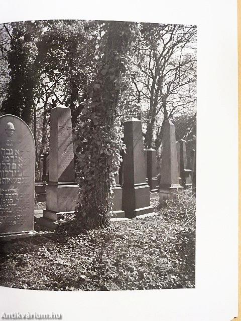 Múzeumcafé 2017/1. február-március