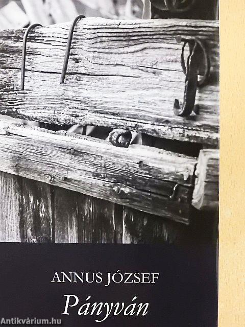 Pányván/Egyenközű vonalak