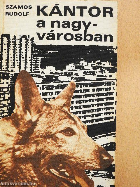 Kántor a nagyvárosban