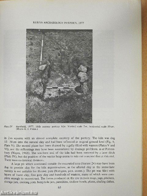 Bulletin of the Institute of Archaeology