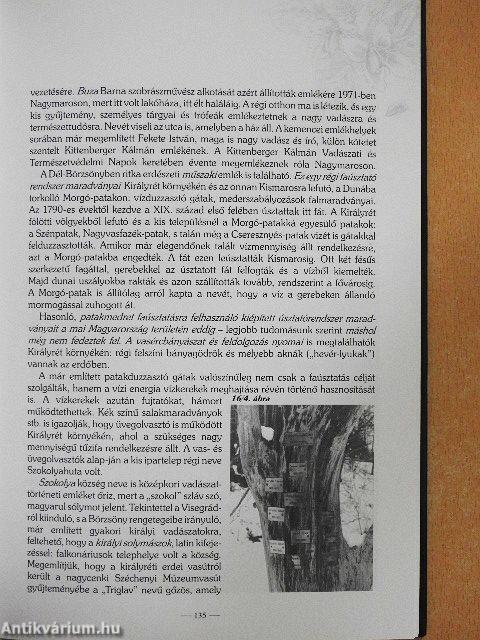 A velünk élő múlt