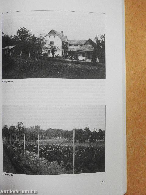 Forrás 2004. július-augusztus