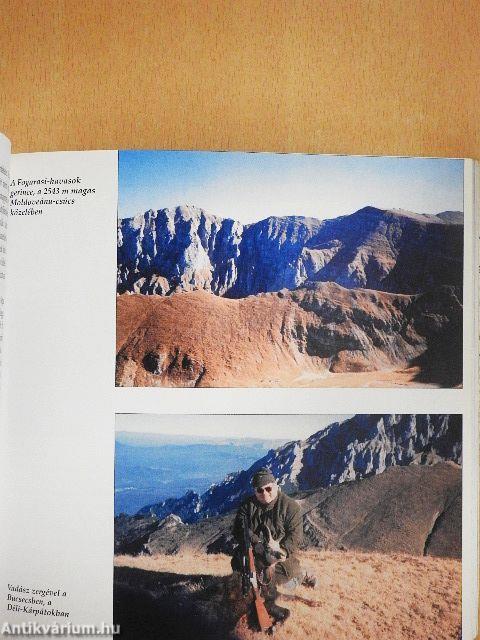 Az a medvés, pisztrángos csodás Erdély