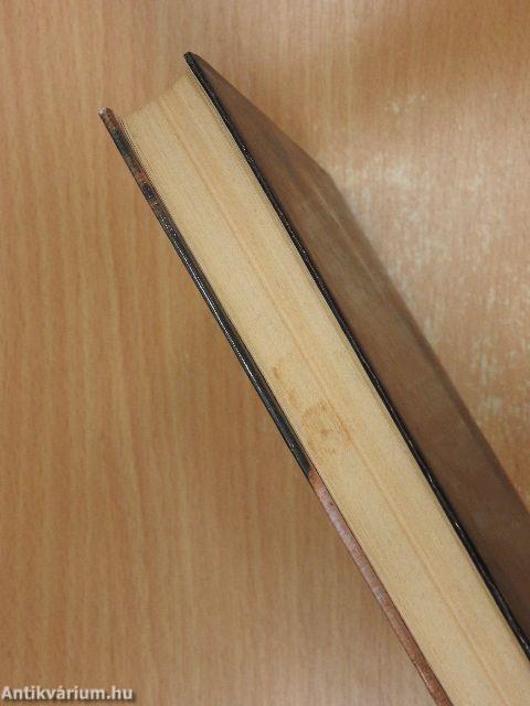 Fejezet a szerelemről