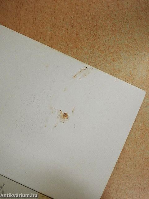 Tésztaételek és pizzák