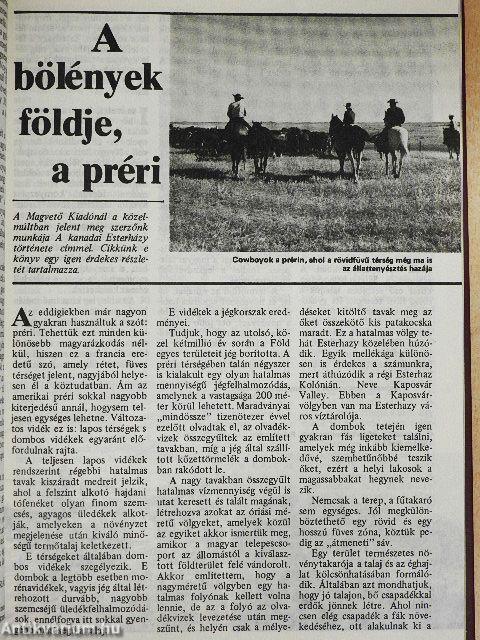 Föld és Ég 1982. január-december