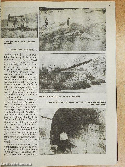 Föld és ég 1991. január-december