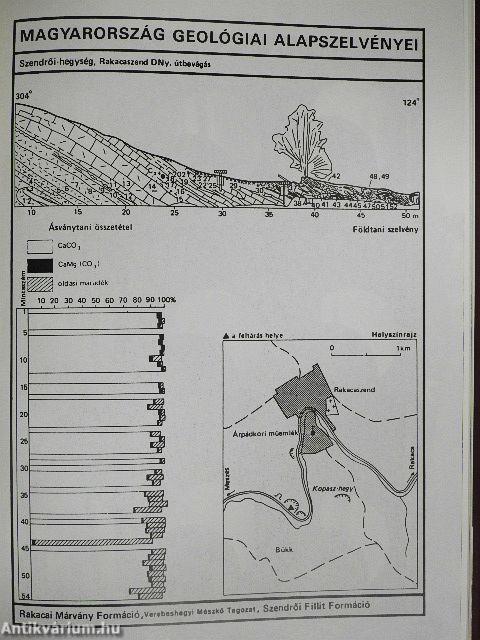 Föld és ég 1991. január-december