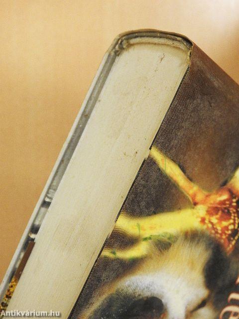 Megható állattörténetek