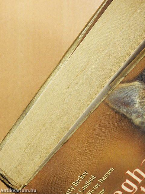 Megható állattörténetek