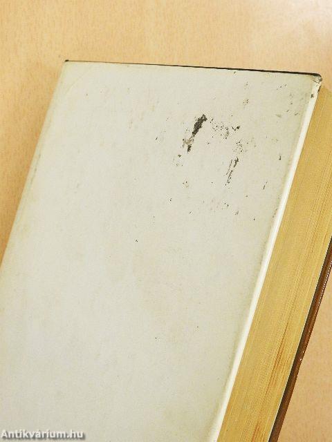 A modern matematika alapjai