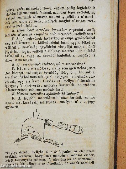 Gazdasági kistűkör