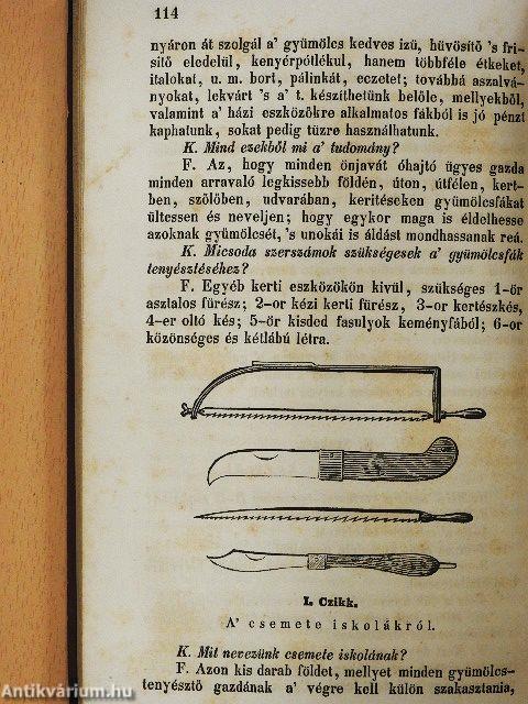 Gazdasági kistűkör