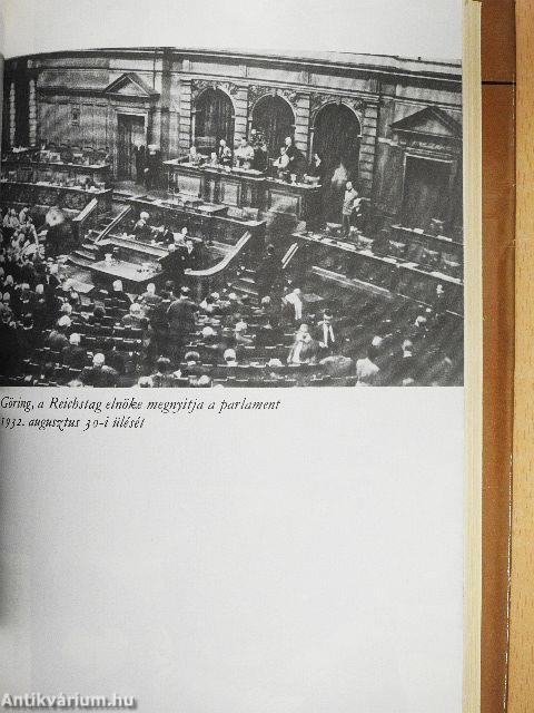 Hitler hatalomra jutása