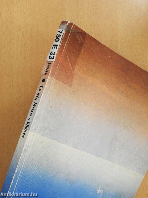 Én még láttam a kikötőt