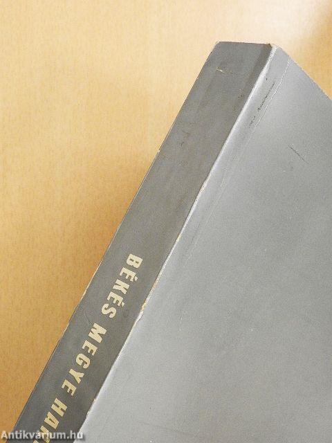 Békés megye harminc éve