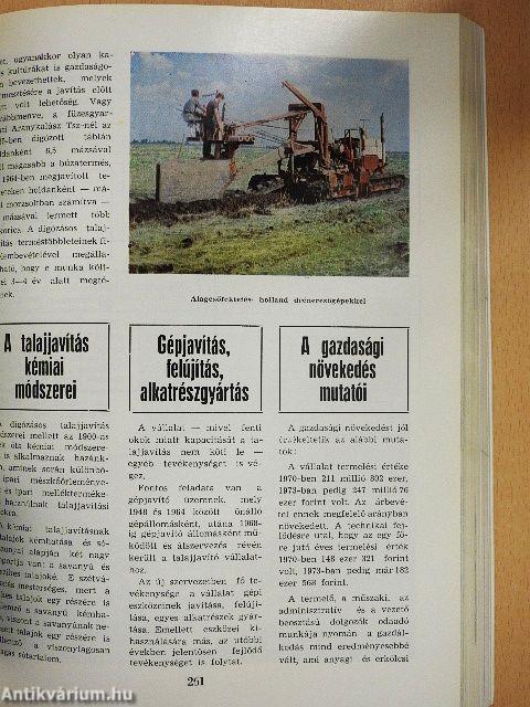 Békés megye harminc éve