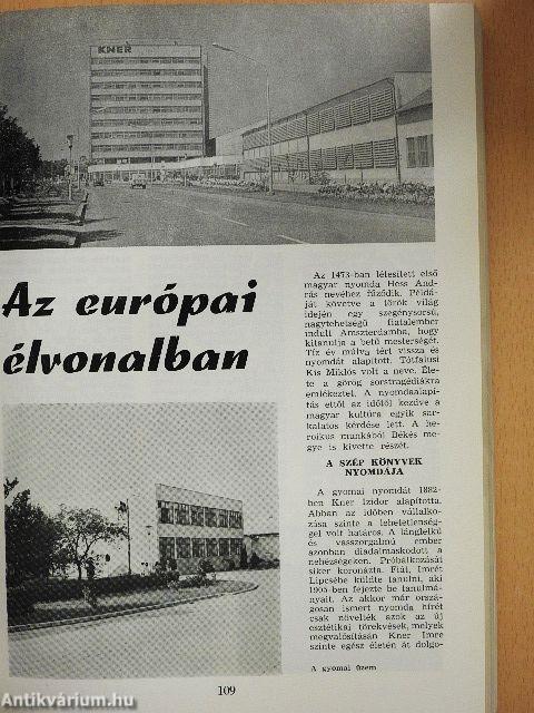 Békés megye harminc éve