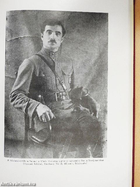 A Tanácsköztársaság Békés megyében 1919