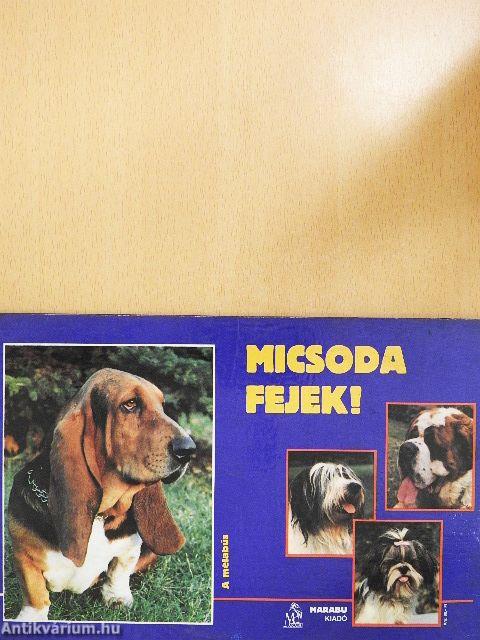 Micsoda fejek!