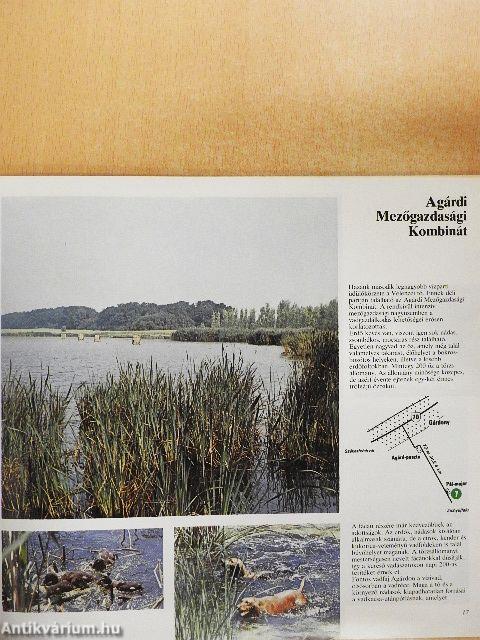 Vadászat Magyarországon az állami gazdaságok területén