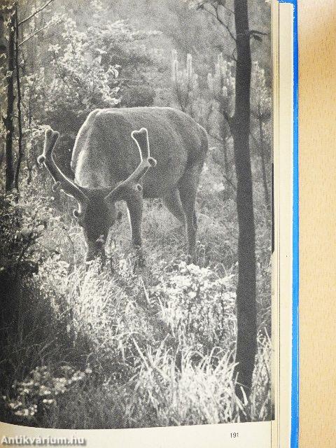 Fotobuch für alle