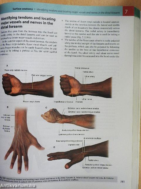 Gray's Anatomy for Students